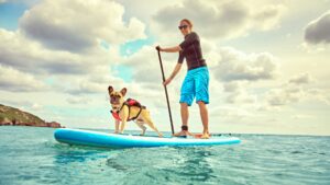 Spirit Yachts | Blog | SPIRIT YACHTS TAKES A LOOK AT LIFE IN GUERNSEY